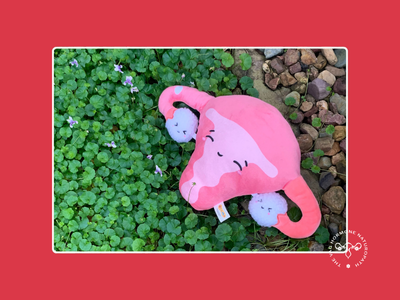 The microbiome-hormone loop: why treating one without the other just doesn't work